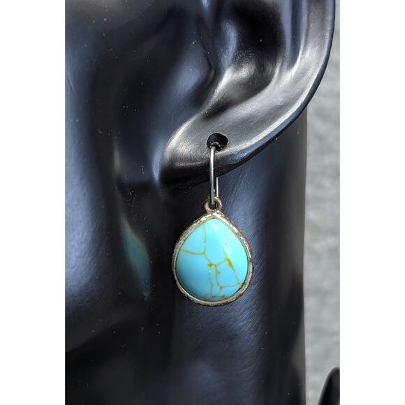 Fossil Earrings, Turquoise-color Stone, Teardrop, Silver-tone Lattice Back, Hook - Picture 1 of 4
